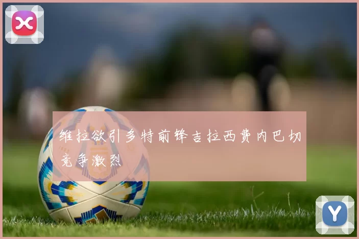 维拉欲引多特前锋吉拉西费内巴切竞争激烈